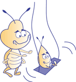 Image of insect on swing
