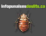 french website