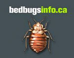 english website