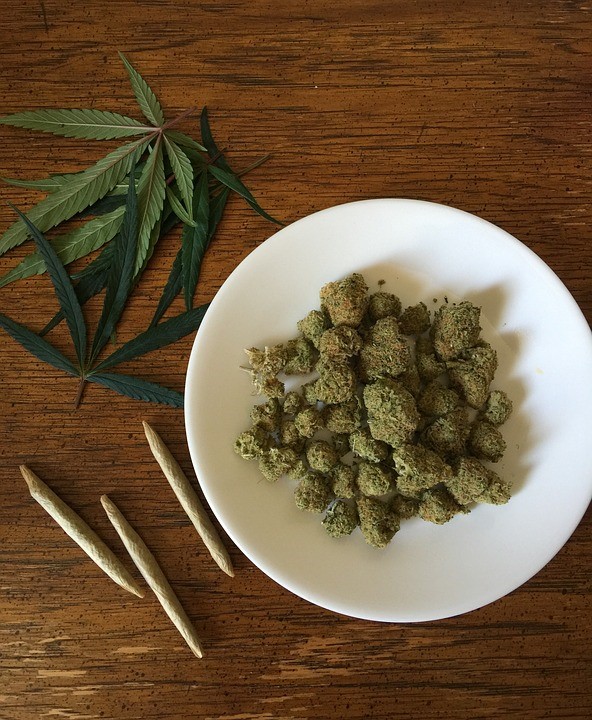 Cannabis image