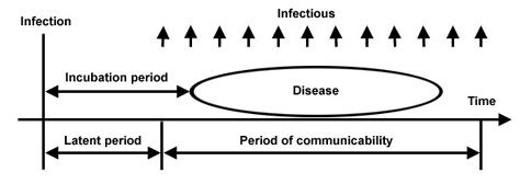 Incubation Period