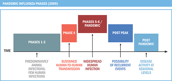 Phases_WHO