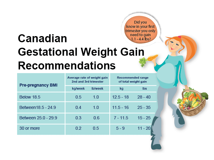 Pregnancy Weight Gain Chart Canada