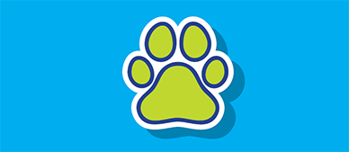 Rabies Investigations