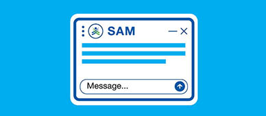 Chatbot window labeled 