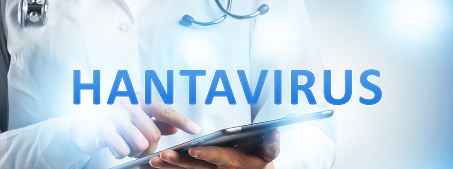 Doctor looking at tablet with Hantavirus text across graphic