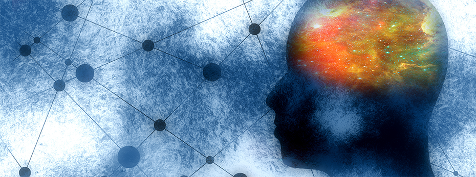 image of brain