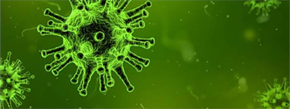 Infectious Diseases