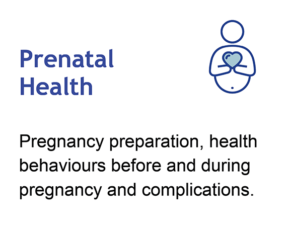 Prenatal Health Quick Link