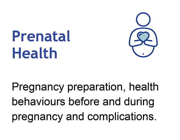 Click here for prenatal health dashboard