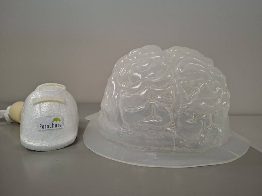 BrainMold and Egg Helmet