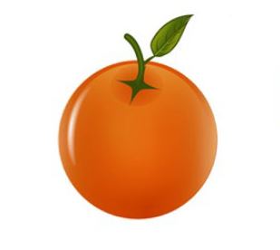 Apricot Day 5