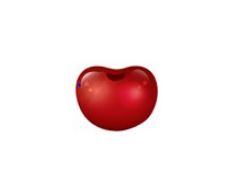 Cherry Day 1
