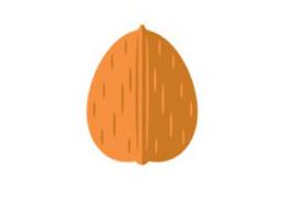 Walnut Day 3