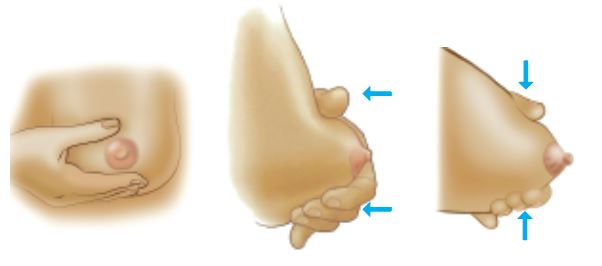 Expressing breast milk illustration