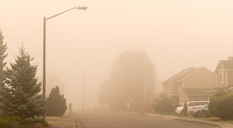 Wildfire Smoke
