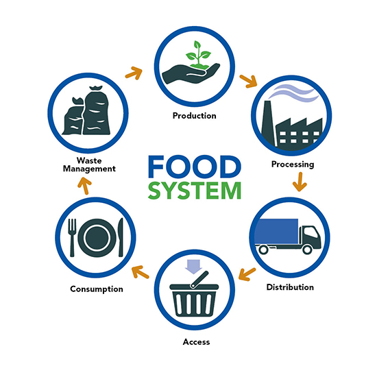 FoodSystem
