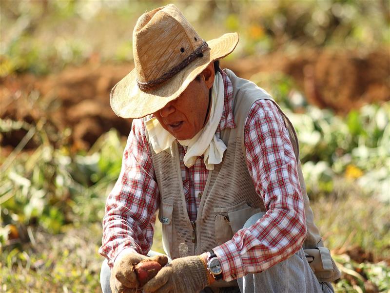 Farmer in straw hat holding produce