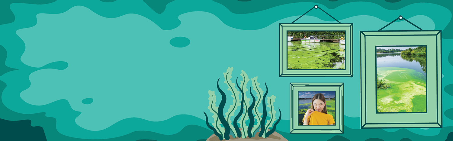 Be Aware of Blue-Green Algae 