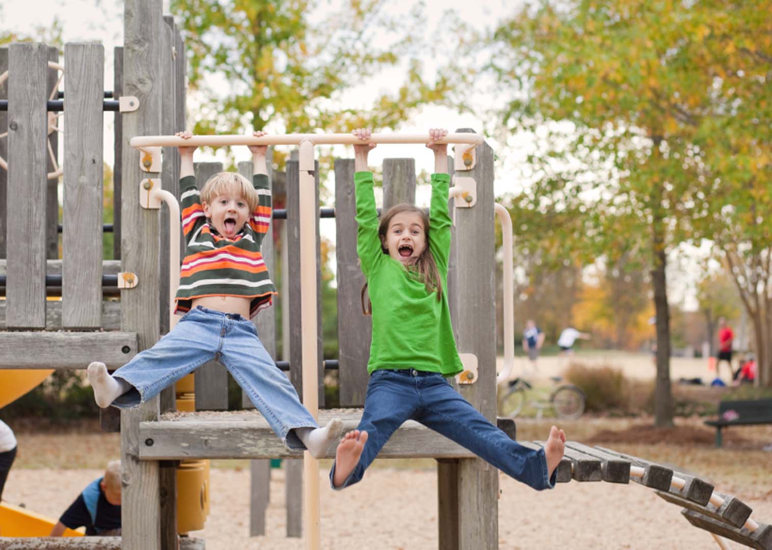 istock_000016166229small