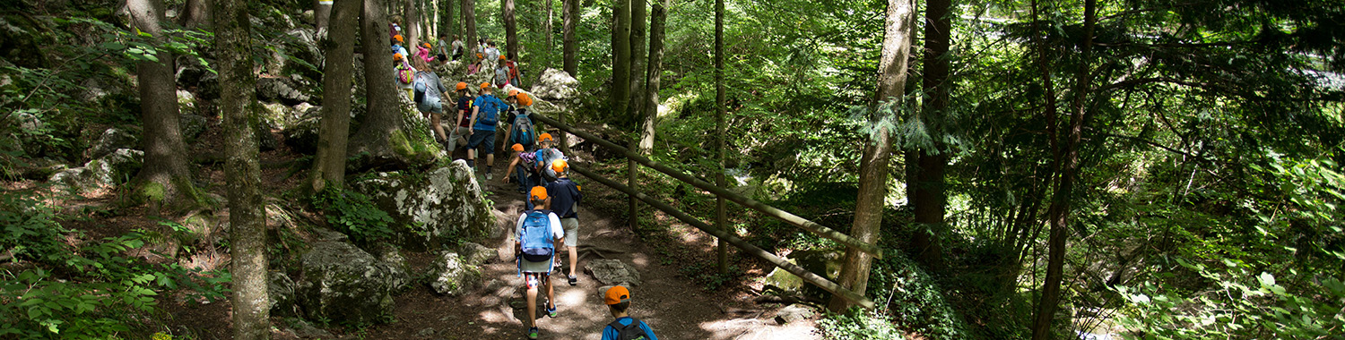 kids at camp hiking in woods